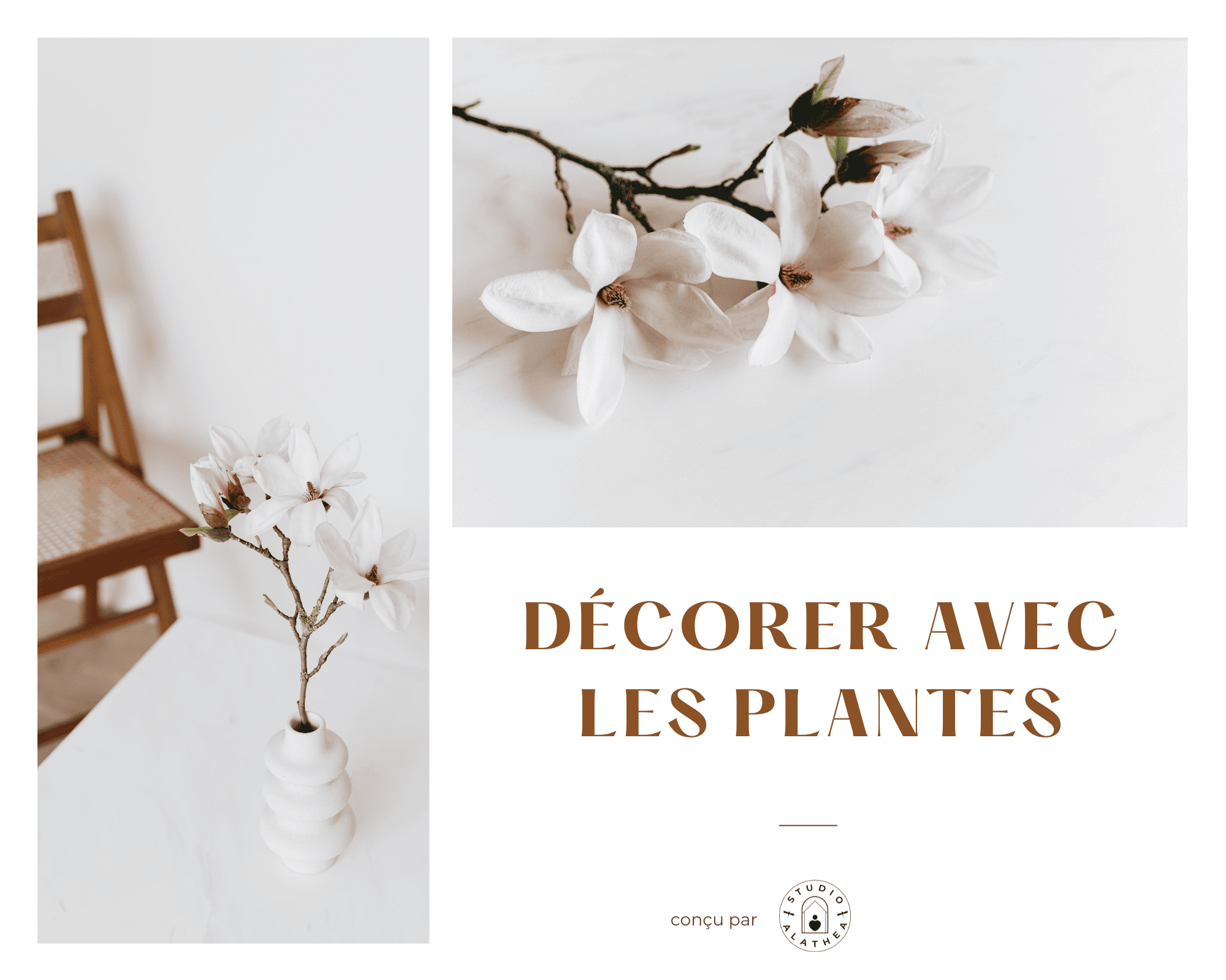 Décorer avec les plantes (v2024)