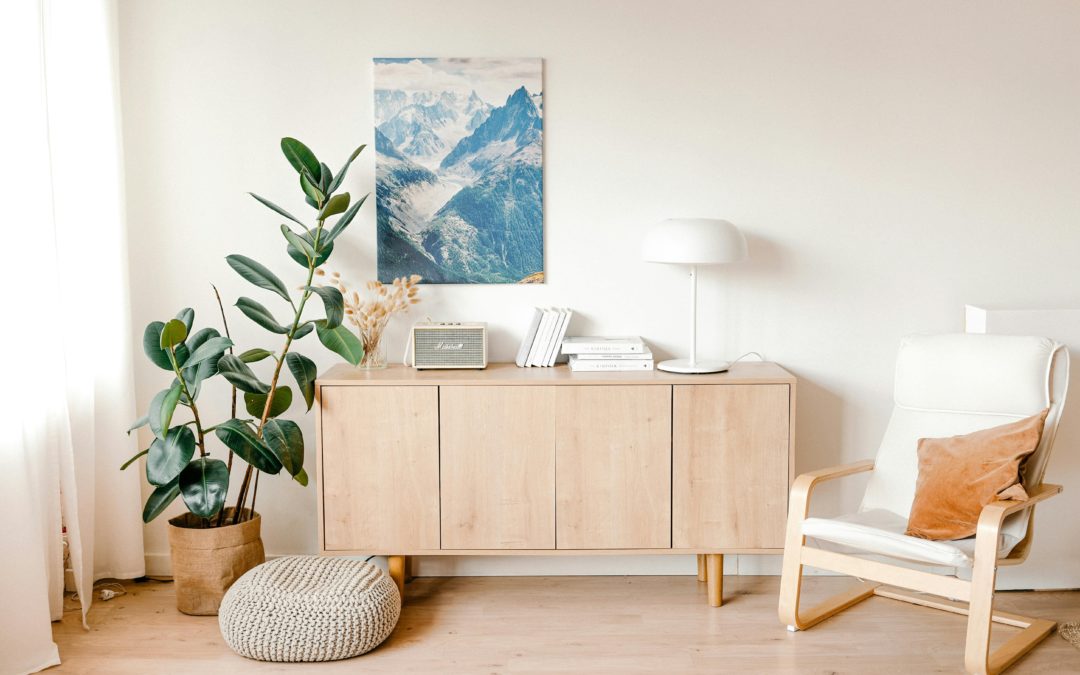L’ÉLÉMENT BOIS EN FENG SHUI : ÉNERGIE DE CROISSANCE ET D’ÉVOLUTION